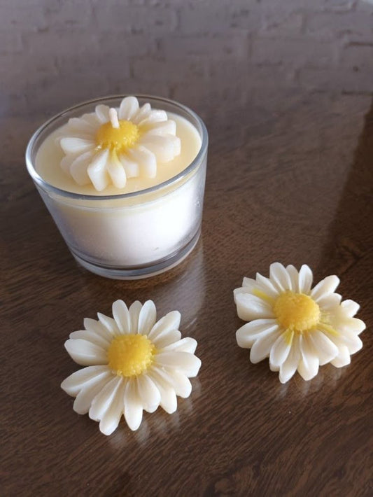 Daisy Candle Jar - Candles By Midnight