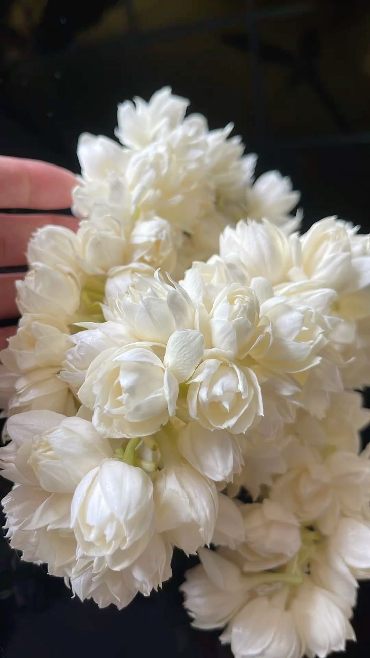 Jasmine from Madurai, Tamil Nadu